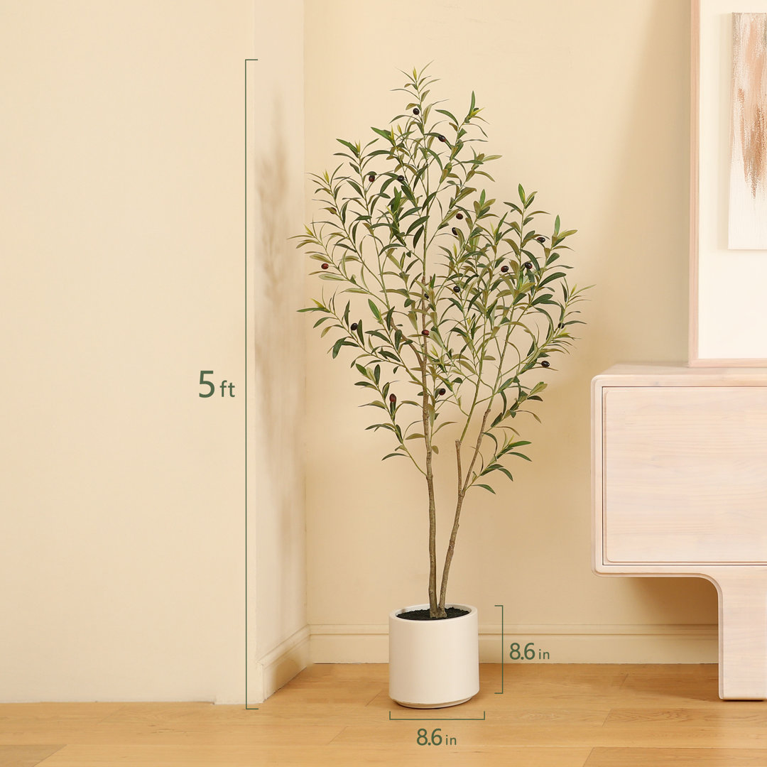 Altman Faux Olive Tree with White Planter